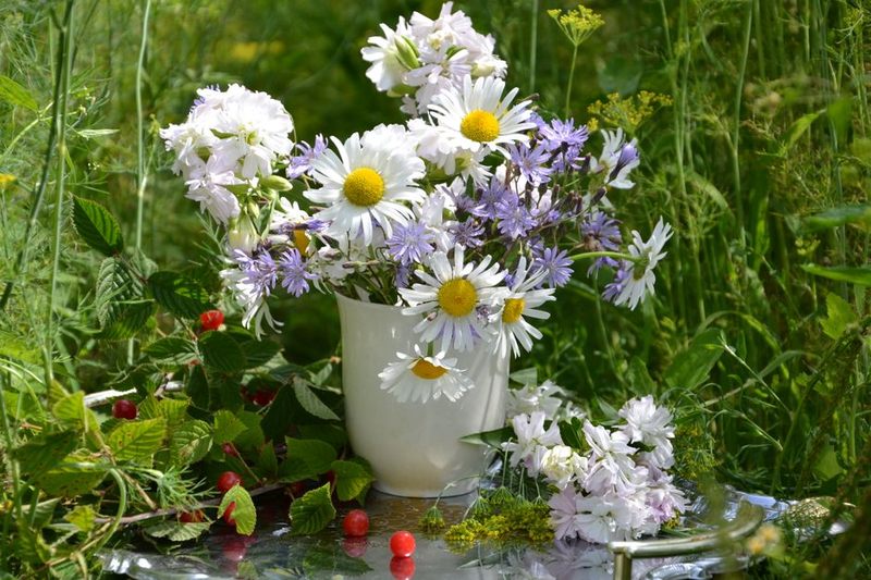 مزهرية الزهور البرية الصغيرة